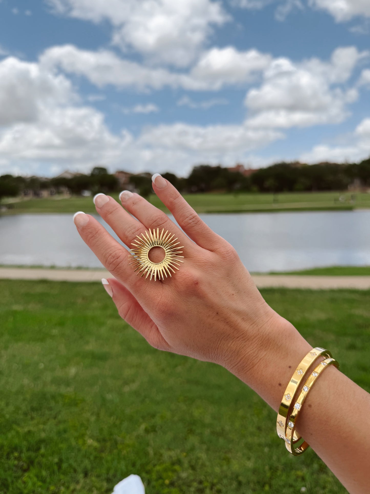 Bohemian ring