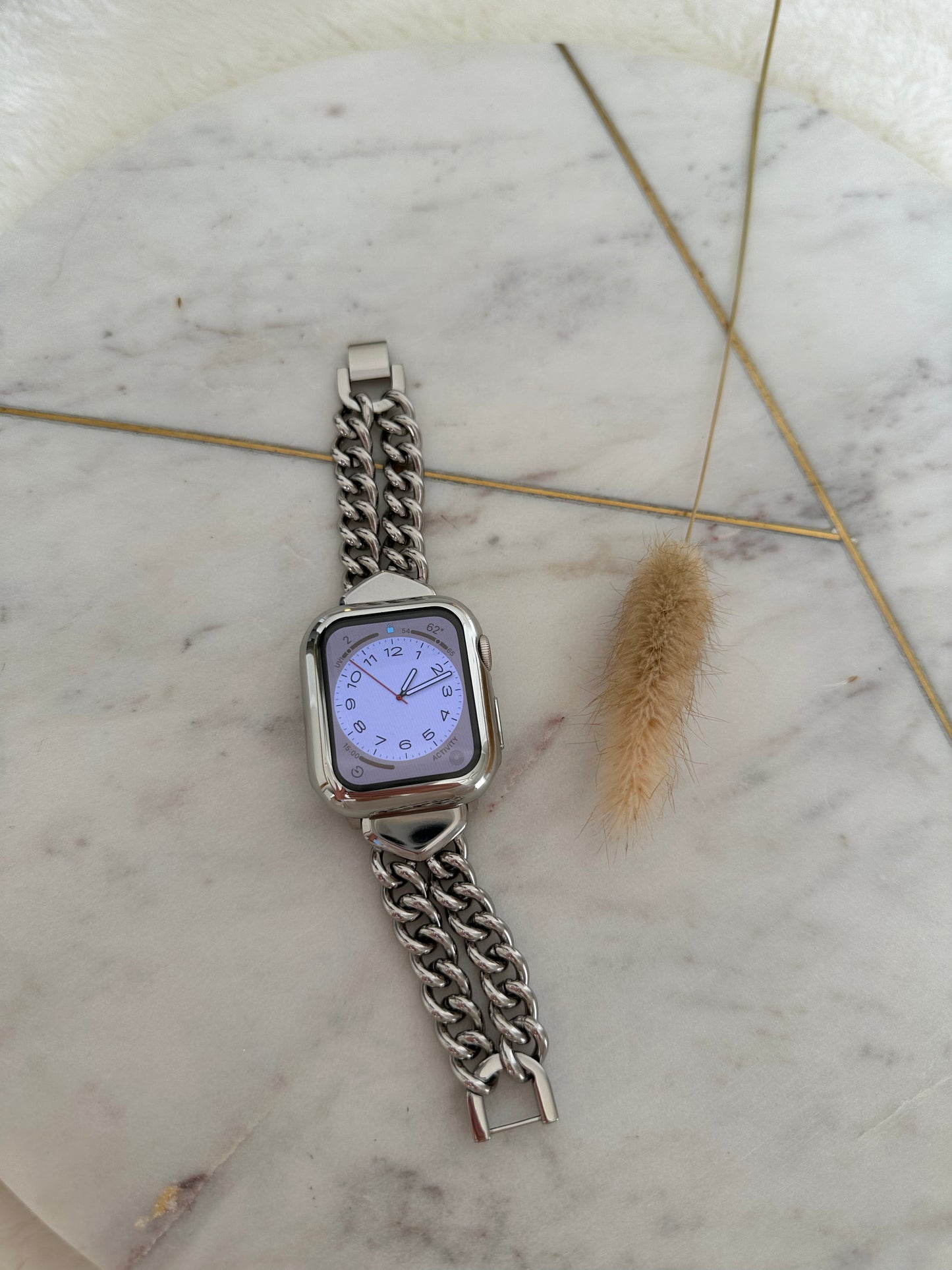 Apple Watch Case